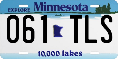 MN license plate 061TLS