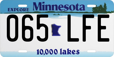 MN license plate 065LFE