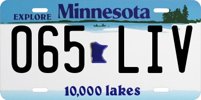MN license plate 065LIV