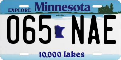 MN license plate 065NAE