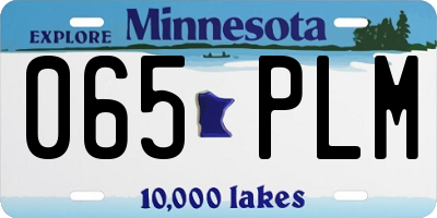 MN license plate 065PLM