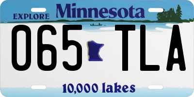 MN license plate 065TLA
