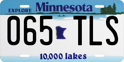 MN license plate 065TLS