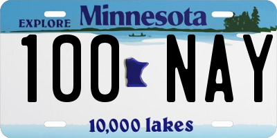 MN license plate 100NAY