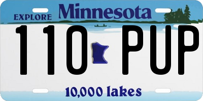 MN license plate 110PUP