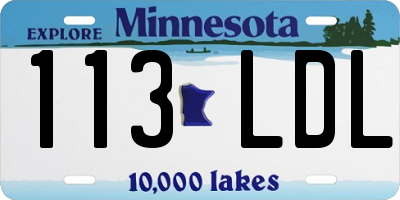 MN license plate 113LDL