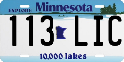 MN license plate 113LIC