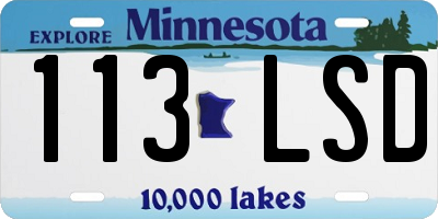 MN license plate 113LSD
