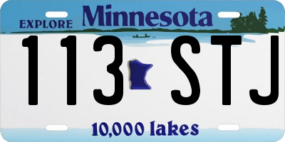 MN license plate 113STJ