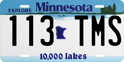 MN license plate 113TMS