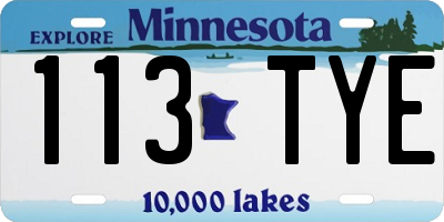 MN license plate 113TYE