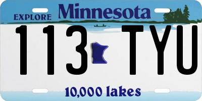 MN license plate 113TYU