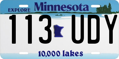MN license plate 113UDY