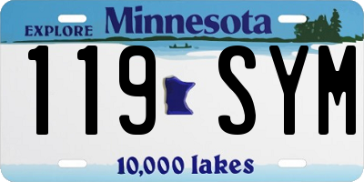 MN license plate 119SYM