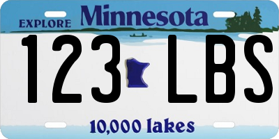 MN license plate 123LBS