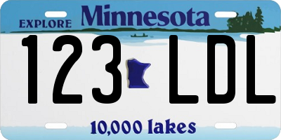 MN license plate 123LDL