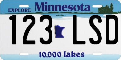 MN license plate 123LSD