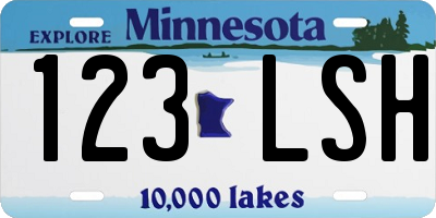 MN license plate 123LSH