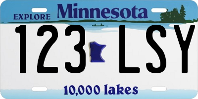 MN license plate 123LSY
