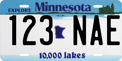 MN license plate 123NAE
