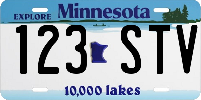 MN license plate 123STV