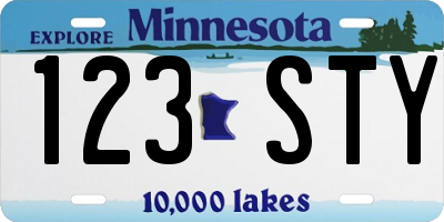 MN license plate 123STY