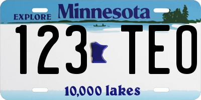 MN license plate 123TEO
