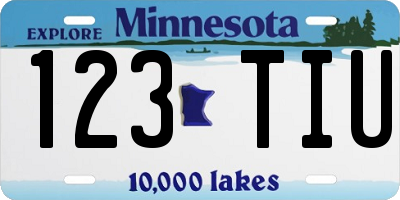 MN license plate 123TIU