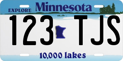 MN license plate 123TJS