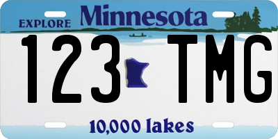 MN license plate 123TMG