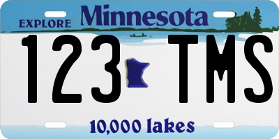 MN license plate 123TMS