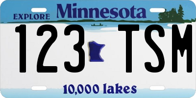MN license plate 123TSM