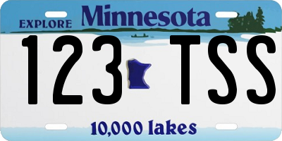 MN license plate 123TSS