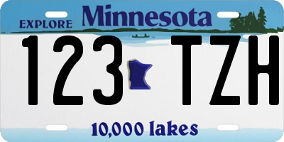 MN license plate 123TZH
