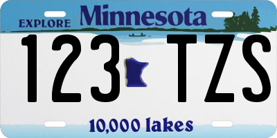 MN license plate 123TZS