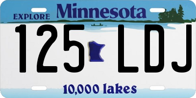MN license plate 125LDJ