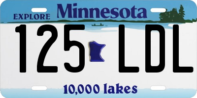 MN license plate 125LDL