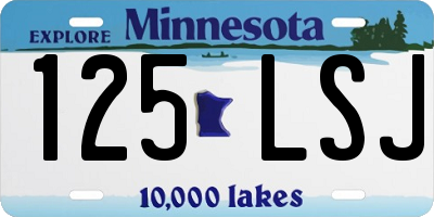MN license plate 125LSJ