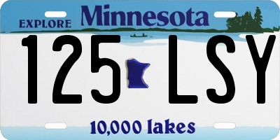 MN license plate 125LSY