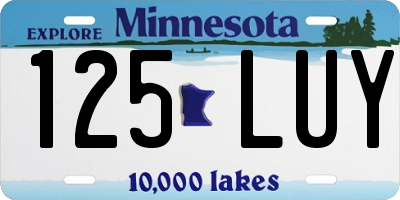 MN license plate 125LUY