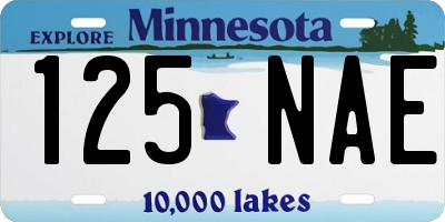 MN license plate 125NAE