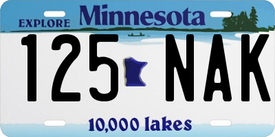 MN license plate 125NAK