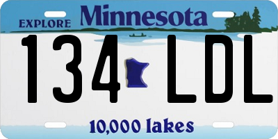 MN license plate 134LDL