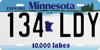 MN license plate 134LDY