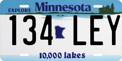 MN license plate 134LEY