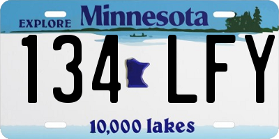 MN license plate 134LFY