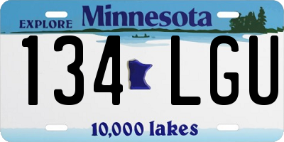 MN license plate 134LGU