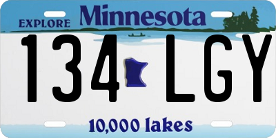 MN license plate 134LGY