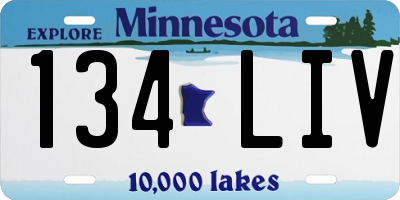 MN license plate 134LIV