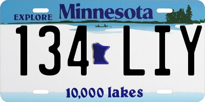 MN license plate 134LIY